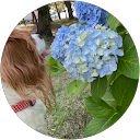 法官香桃 profile picture